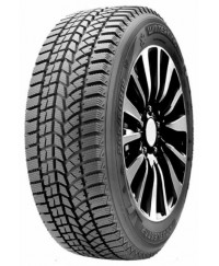 Doublestar WINTERKING DW02 235/55 R19 101S