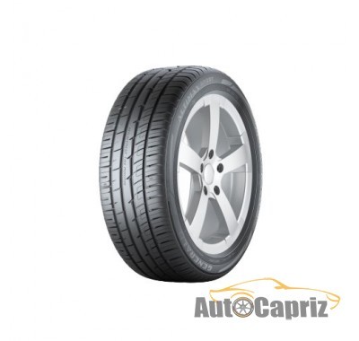 Шины General Tire Altimax Sport 215/50 R17 91Y