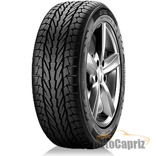 Шины Apollo Alnac Winter 175/70 R13 82T