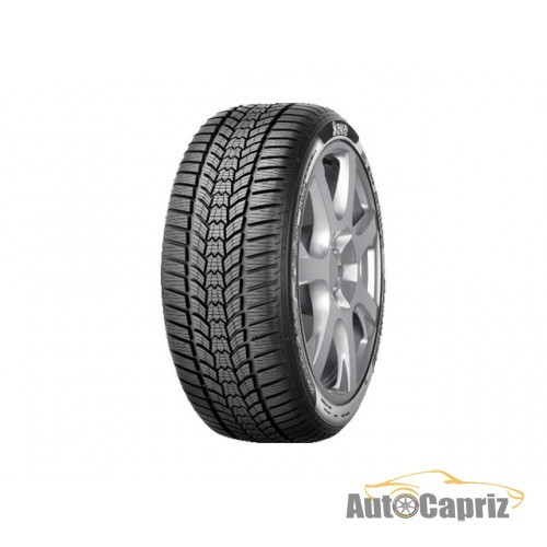 Шины Sava Eskimo HP2 225/45 R17 91H