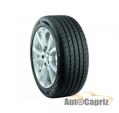 Шины Michelin Primacy MXM4 225/50 R17 94V Run Flat