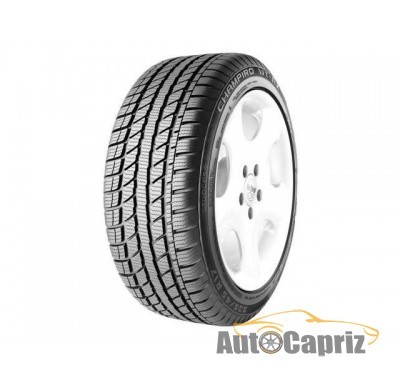 Шины GT Radial Champiro WT-AX 225/45 R17 94H