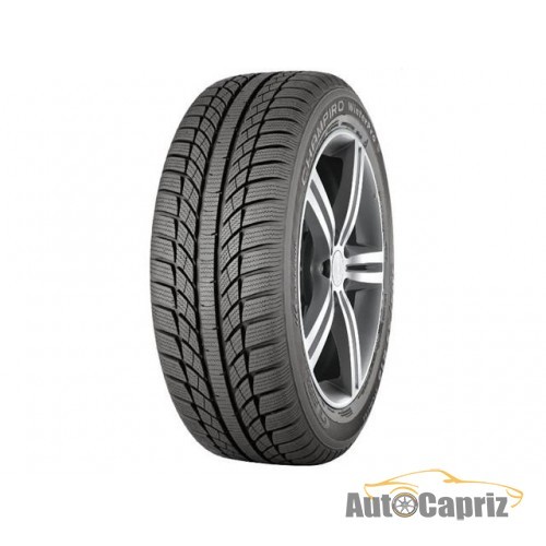 Шины GT Radial Champiro Winter Pro 205/55 R16 91H