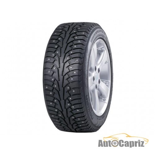 Шины Nokian Hakkapeliitta 5 195/55 R16 91T (под шип)