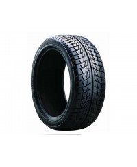 Nankang Snow Viva SV1 225/40 R18 92V