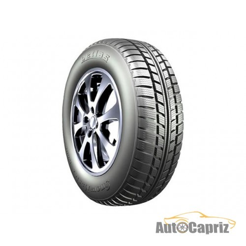 Шины Petlas Snowmaster W601 165/70 R13 79T