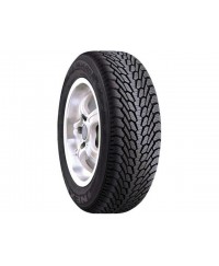 Roadstone WinGuard 225/55 R16 99H 