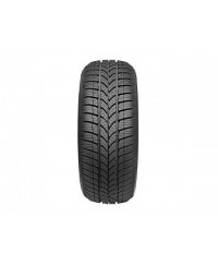 Taurus 601 Winter 175/65 R15 84T