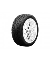WestLake SW658 215/60 R17 96T