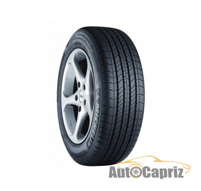 Шины Michelin Primacy MXV4 215/55 R17 93V 